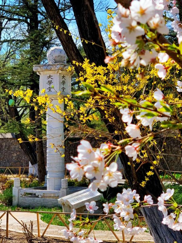 北大,永遠的熱愛! 北大,永遠的熱愛!