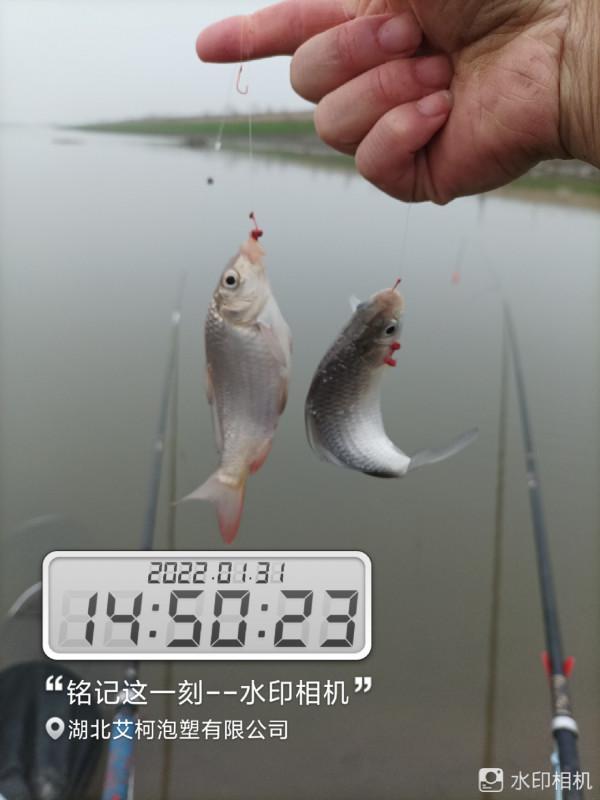 新年新氣象，虎年首釣完美爆護