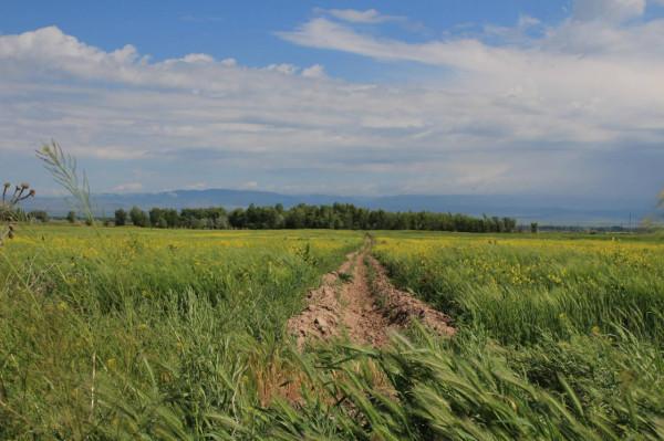 中亞五國漫遊之吉爾吉斯，我們在那裡拜謁了詩仙李十二出生的地方