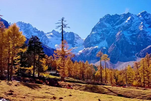 抓住年末的尾巴，計劃一場“冬日旅行”，不然又要拖到明年啦