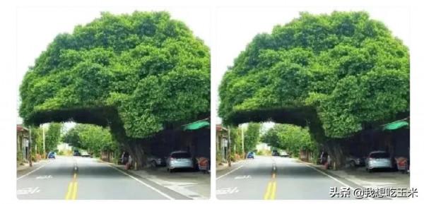 王力宏當年暗戀劉亦菲！所以才寫的《依然愛你》！網友簡直是人才