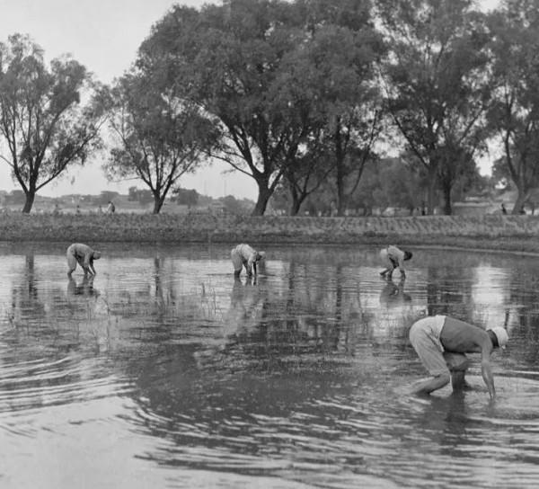 九門走九車？老北京人沒那麼愛繞遠