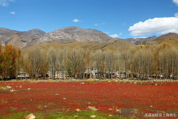 別人的生活:退休了 開始自駕遊 別人的生活:退休了 開始自駕遊