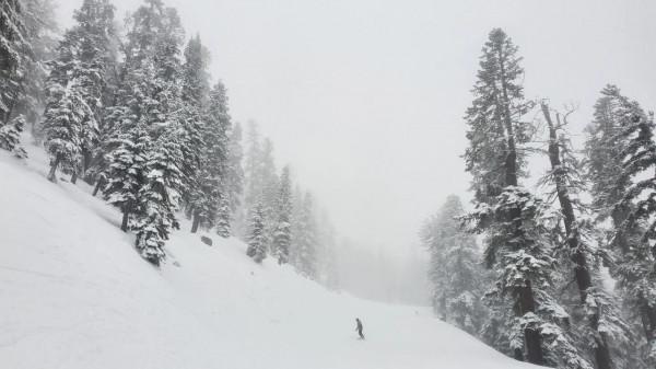 TAHOE 塔霍湖 滑雪季