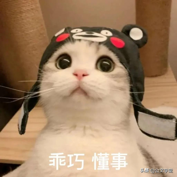 年輕人春節應對親戚指南，拿走不謝