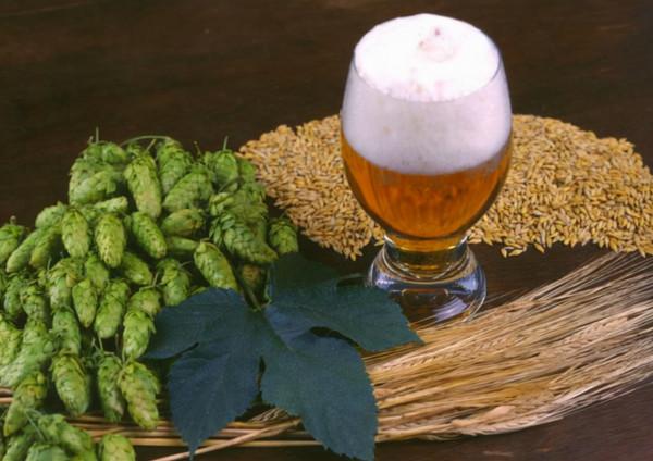 高血壓不能喝酒?他親身實驗,喝酒之後血壓下降?真相如何 高血壓不能喝酒?他親身實驗,喝酒之後血壓下降?真相如何