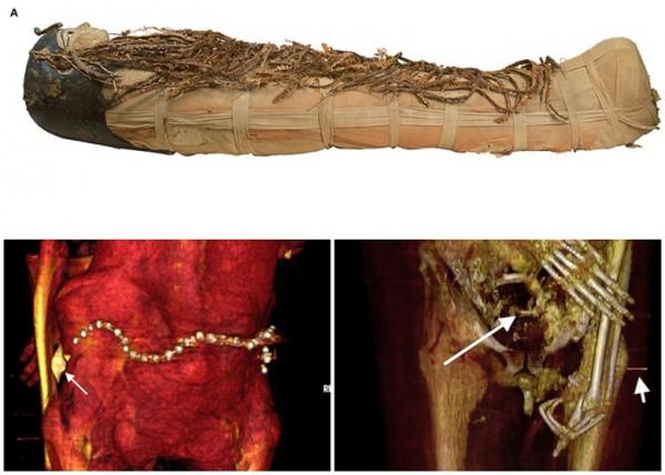 揭開法老王阿孟霍特普一世的神秘面紗，新技術考古的新發現