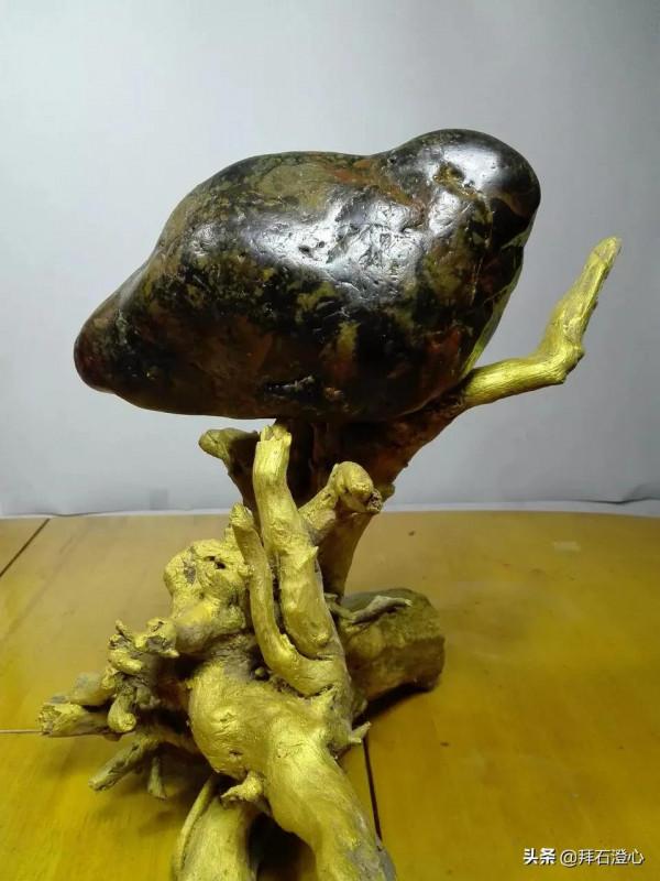 奇石的象與不象