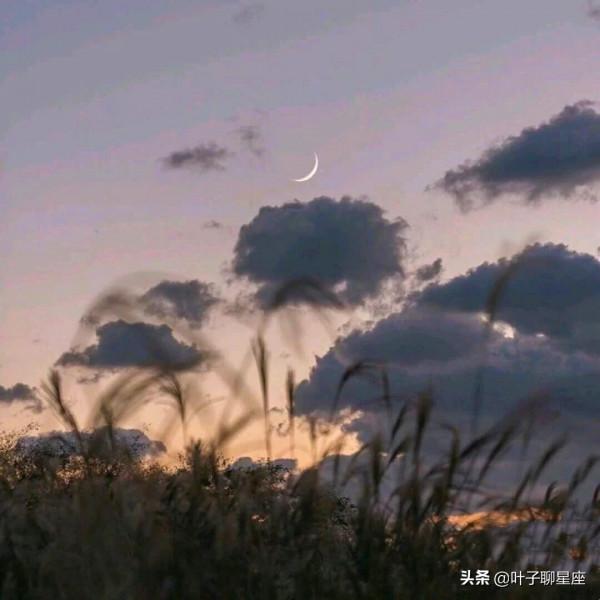 這些星座出身平凡，靠自己打拼出一片天，是金子，到哪裡都會發光