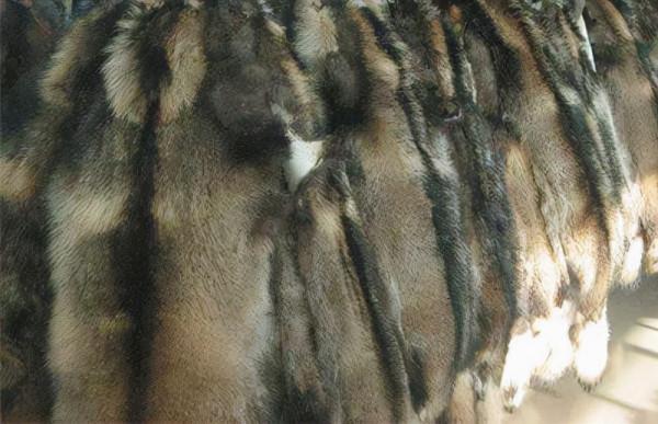 沒有空調暖氣，古人在冬天如何取暖，今天帶大家體驗一把