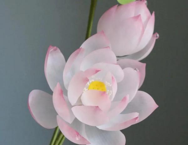 《道德經》高人，反其道而行之，無知，無慾，無求，故，有所成