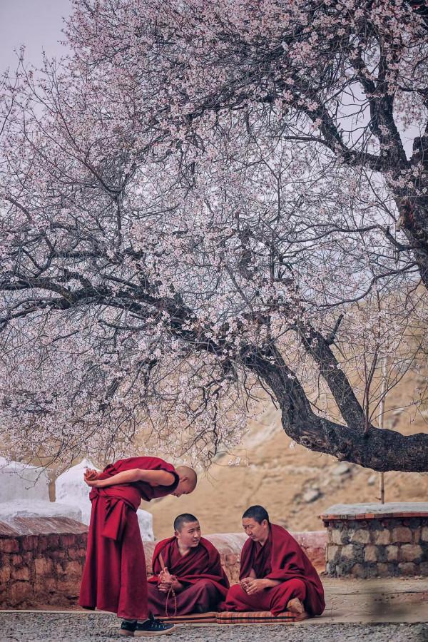 進藏都需要準備些什麼呢？為你準備好了清單，建議點贊收藏