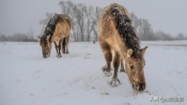 令人痴迷的美妙雪景