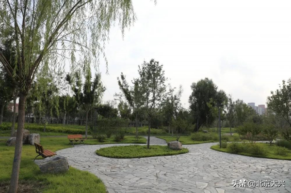 大興有處藏在城市中的“秘密花園”，超美！