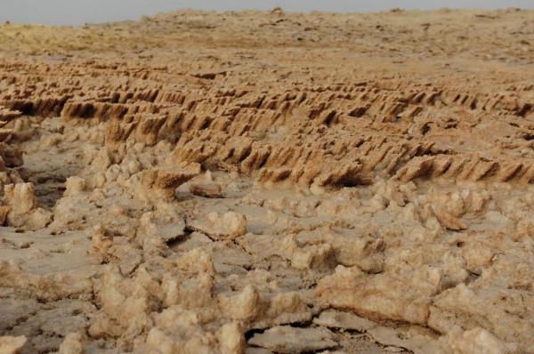 “再見地球！火星你好！”神奇如阿凡達的地方，你知道在哪兒嗎？