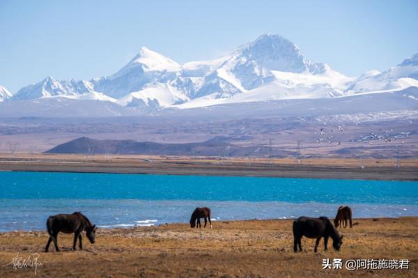 自駕喜馬拉雅山五條溝絕美一日，乃村日照金山，珠峰廢墟特別日落