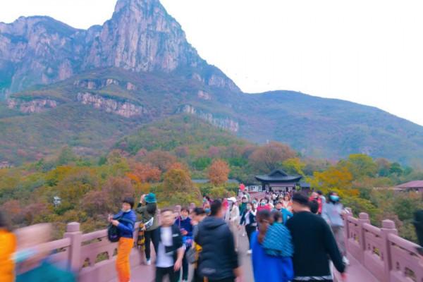 免門票!萬畝紅葉正當時,週末相約雲臺山 免門票!萬畝紅葉正當時,週末相約雲臺山
