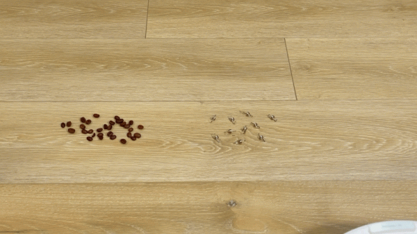 掃地機器人是“神器”還是“雞肋”?我家買了3臺,終於搞明白了 掃地機器人是“神器”還是“雞肋”?我家買了3臺,終於搞明白了