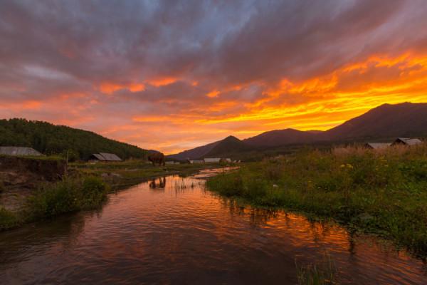 多少人的夢想!湖南姑娘用5年,在新疆禾木打造了個絕美花園 多少人的夢想!湖南姑娘用5年,在新疆禾木打造了個絕美花園