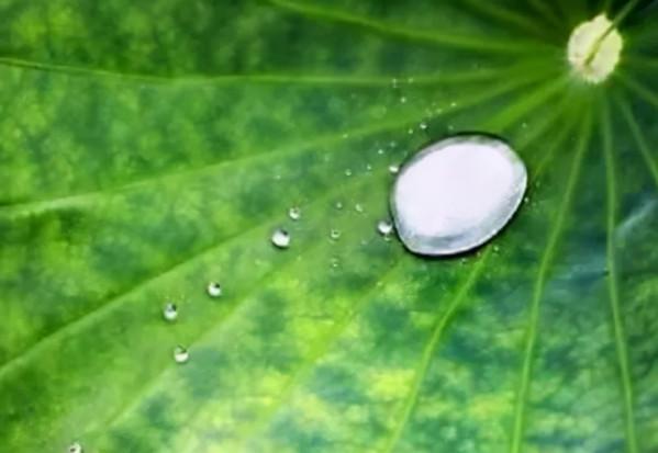 值得珍藏，世界級大師們的30句名言