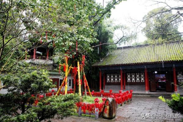 茶影的進藏日誌2