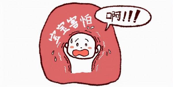 給大家分享一篇育兒大課堂「胎兒最怕的東西每個月都不同」