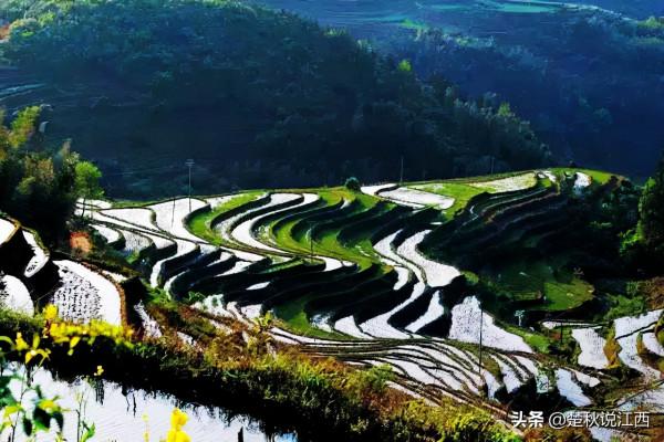 江西這款茶,有人說名字雖不算雅,但喝過一次就會愛上 江西這款茶,有人說名字雖不算雅,但喝過一次就會愛上