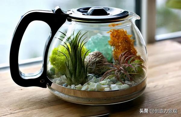 把大自然裝進瓶子裡，種在瓶子裡的微景觀究竟有多美？