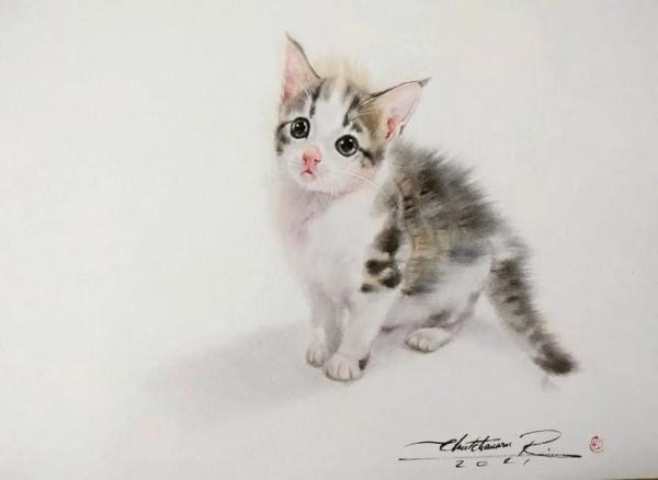 泰國貓王和他的水彩貓帝國