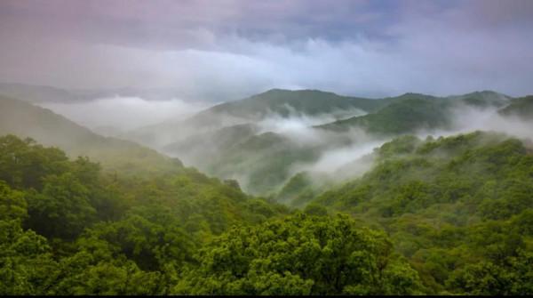 雪花飛揚，美景如畫