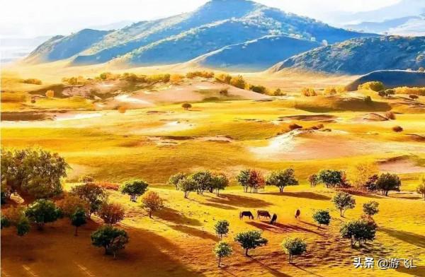 請欣賞—壩上草原風光