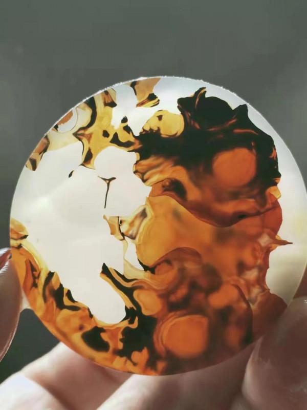 金蟾獻花萌萌噠