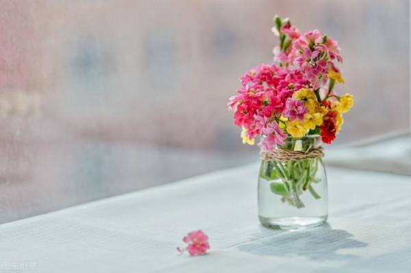鮮花教程丨網購玫瑰超長待機鮮花養護之花瓶的選擇