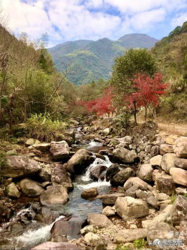 這條被譽為“浙江西南第一嶺”的紅楓古道你去過嗎？