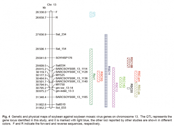 大豆花葉病毒病抗性基因Rsc18精細定位和遺傳分析