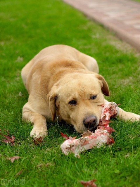 沒有人願意與廢人結交 沒有人願意與廢人結交