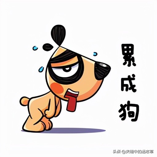 亞健康也是種病?一劑歸脾湯,健脾又養心,補氣還補血 亞健康也是種病?一劑歸脾湯,健脾又養心,補氣還補血