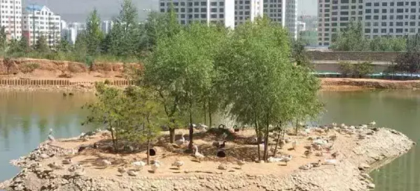 中國“最窮”的動物園 在中國最高的地方