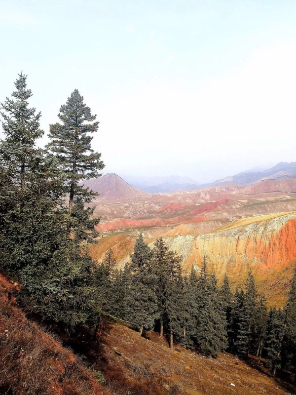 這個秋天，我想要一場去青海的旅行
