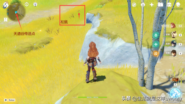 原神四方之網可捕捉小動物位置彙總一覽