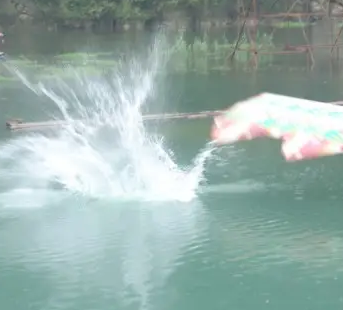 2009年老闆投入6000萬尾魚苗，魚集體失蹤，4年後靠魚年收3000萬