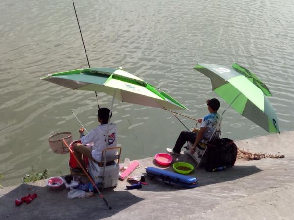 野釣鯽魚該調幾釣幾？三種方案應對所有魚情，這套思路釣王都在用