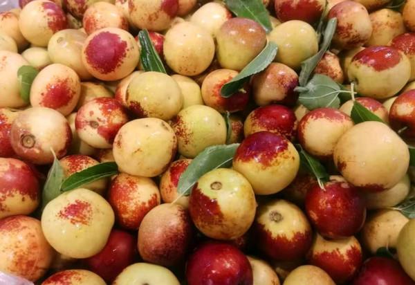 立秋後,要多吃水果,特別是石榴,再貴也要吃,不懂吃可惜了 立秋後,要多吃水果,特別是石榴,再貴也要吃,不懂吃可惜了