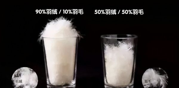 入冬第一件羽絨服怎麼選？別再盯著某鵝了，這些國貨品牌很能打