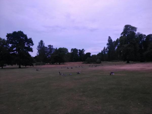 海德公園晨跑和夜跑