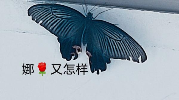 只想再來一次 只想再來一次