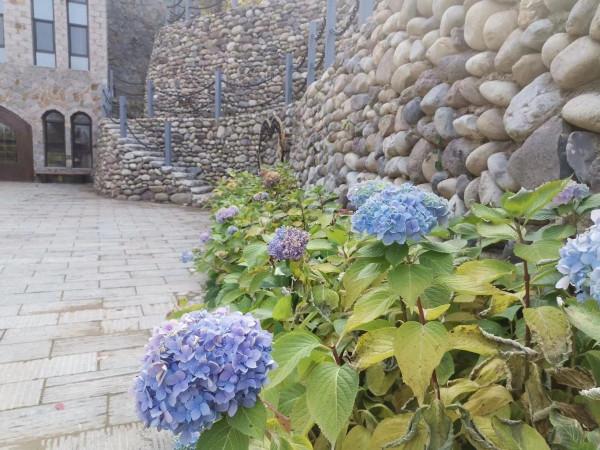 北京必去的莊園之一，你知道是哪裡嗎？