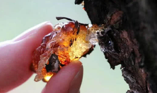 這樣喝水只會讓衰老提前,臉上滋長皺紋,要想老得慢,儘早改掉 這樣喝水只會讓衰老提前,臉上滋長皺紋,要想老得慢,儘早改掉