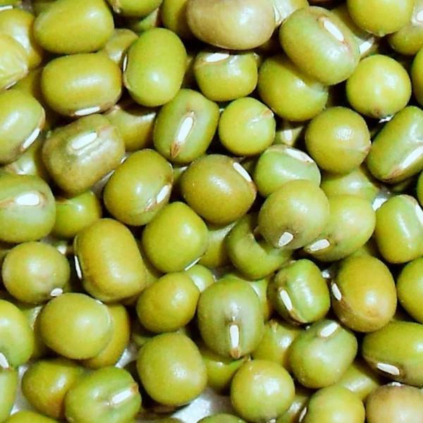 一年四季都可以吃的綠豆