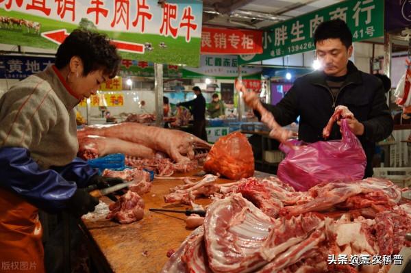 養豬人賣一斤肉虧2塊，一頭豬虧500元！羊價魚價集體走跌，啥情況